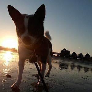 Meet your Posher, Kerry